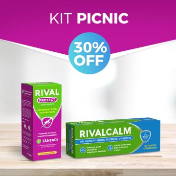 KIT Picnic